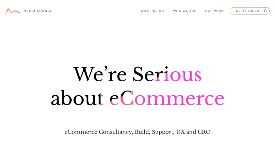 Screenshot of Media Lounge's Website