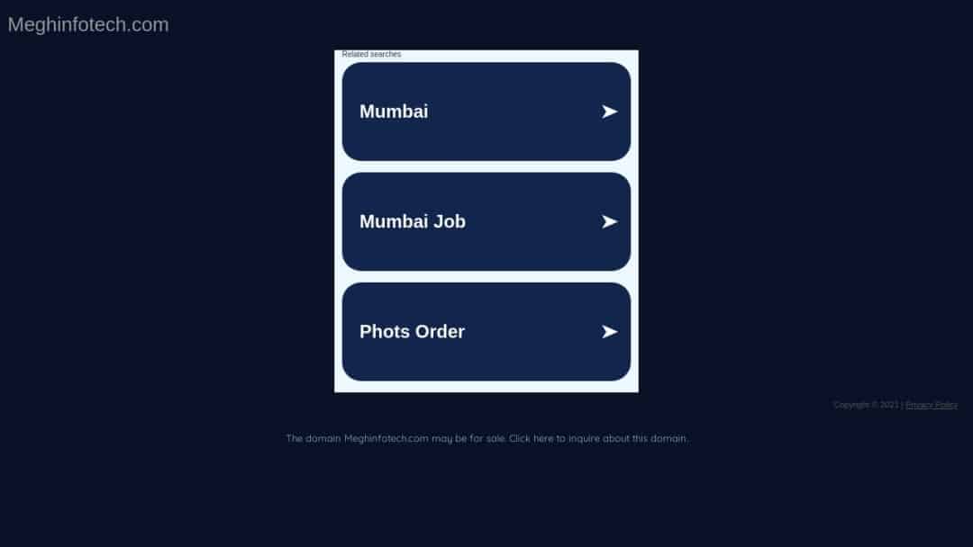 Screenshot of Megh Infotech's Website