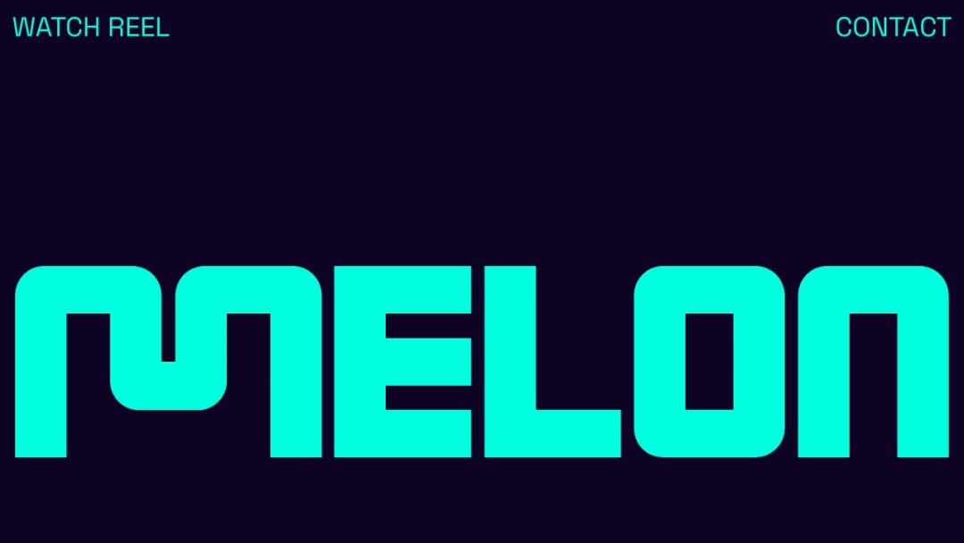 Screenshot of Melon Development, Inc.'s Website