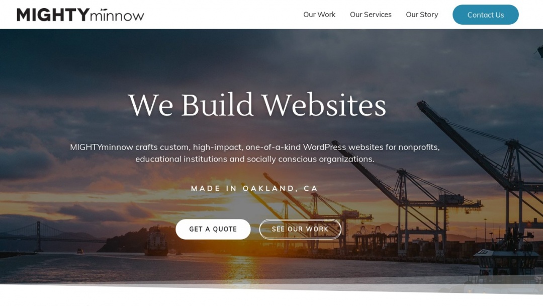 Screenshot of MIGHTYminnow's Website