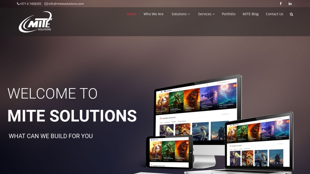 Screenshot of Mite Solutions's Website