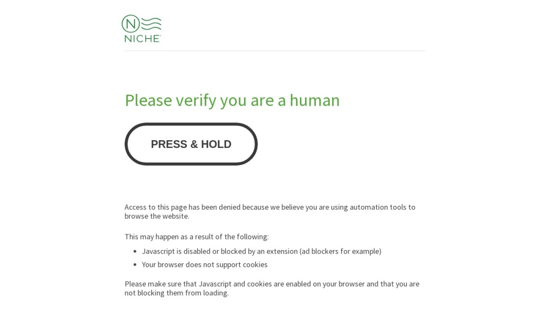 Screenshot of Niche's Website