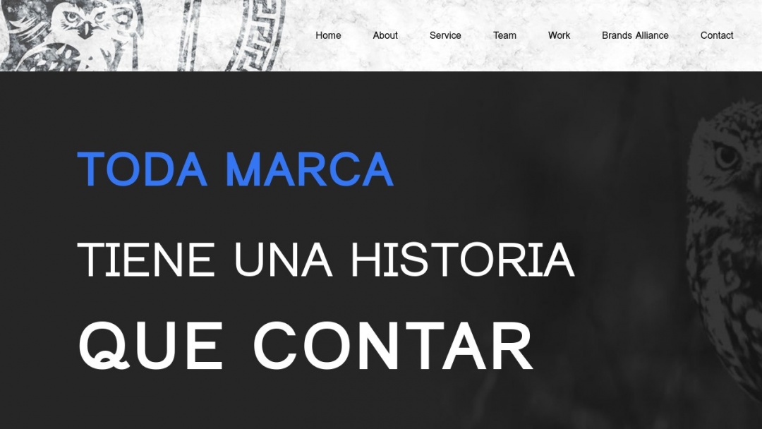 Screenshot of Noctua Marketing's Website