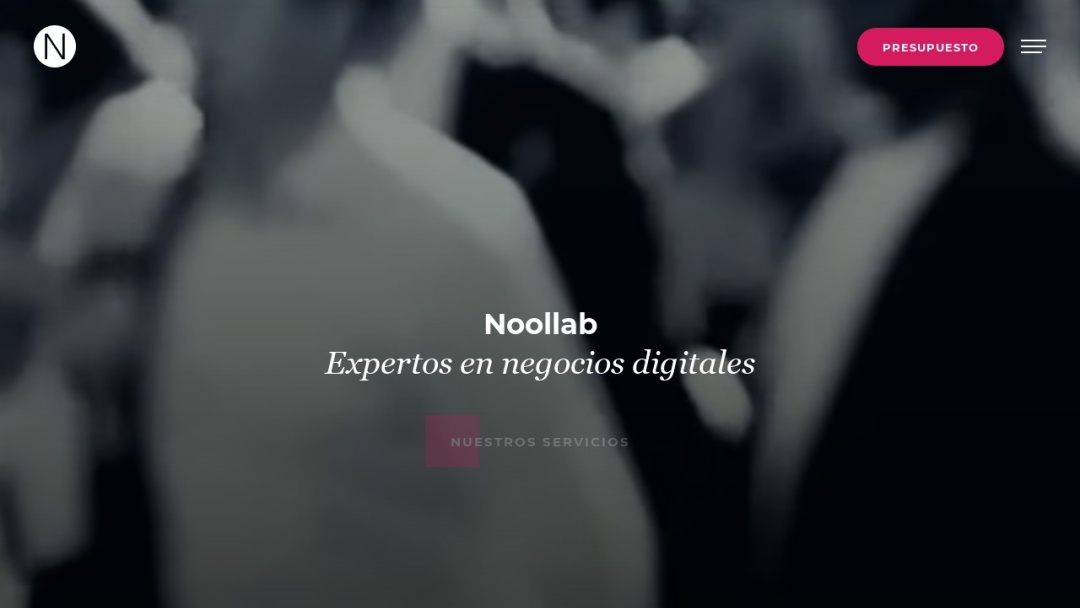 Screenshot of Noollab's Website