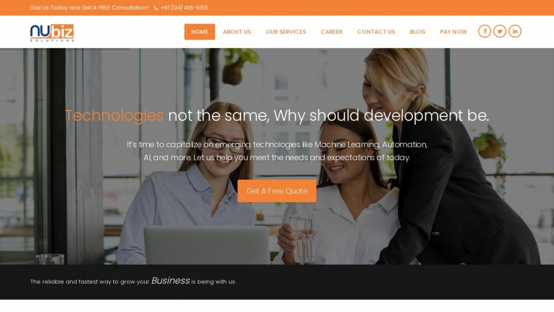 Screenshot of Nubiz Solutions Pvt Ltd's Website