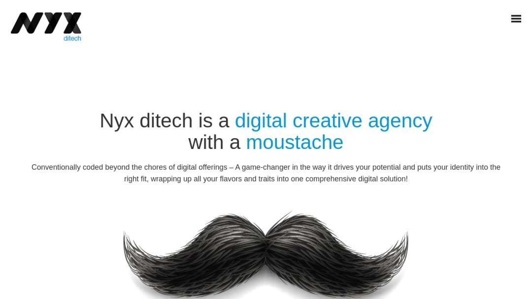 Screenshot of Nyx Ditech's Website