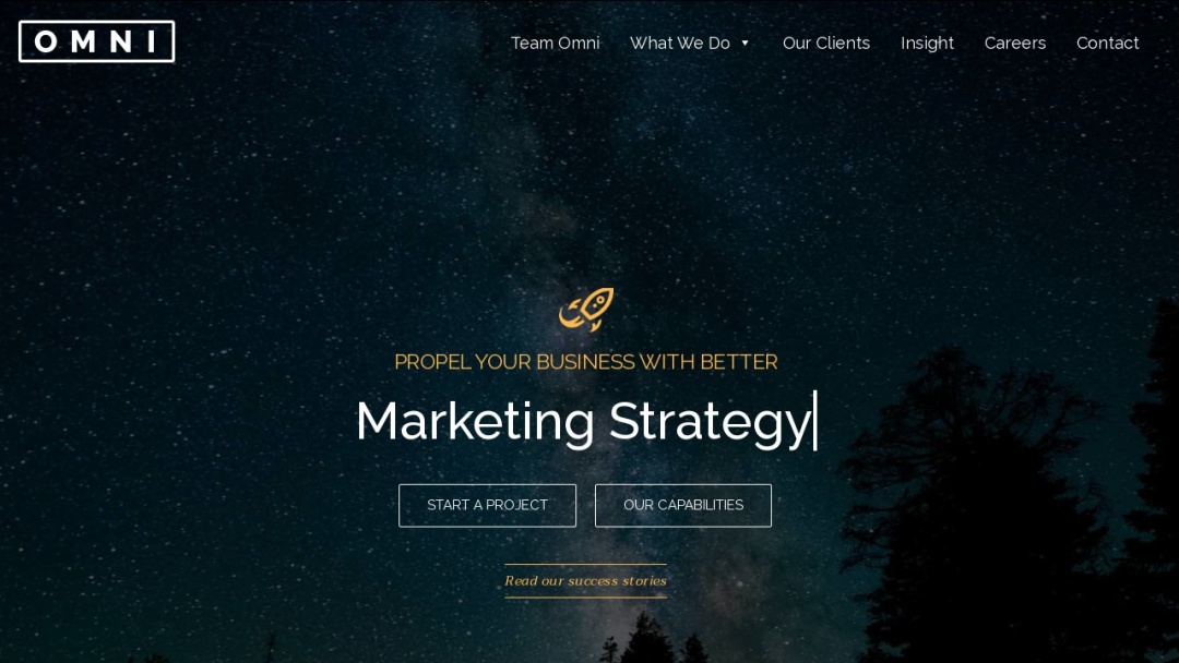 Screenshot of Omni Digital Marketing's Website