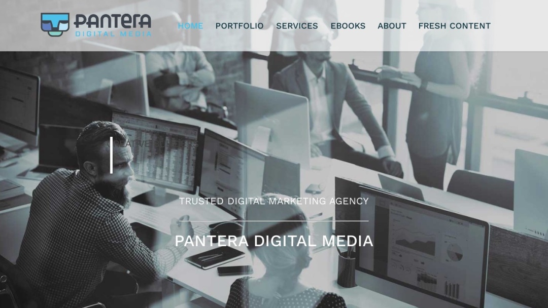 Screenshot of Pantera Digital Media's Website