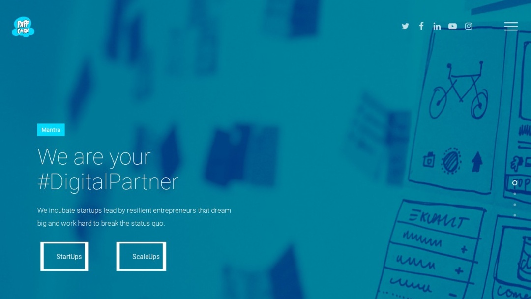 Screenshot of PappCorn's Website