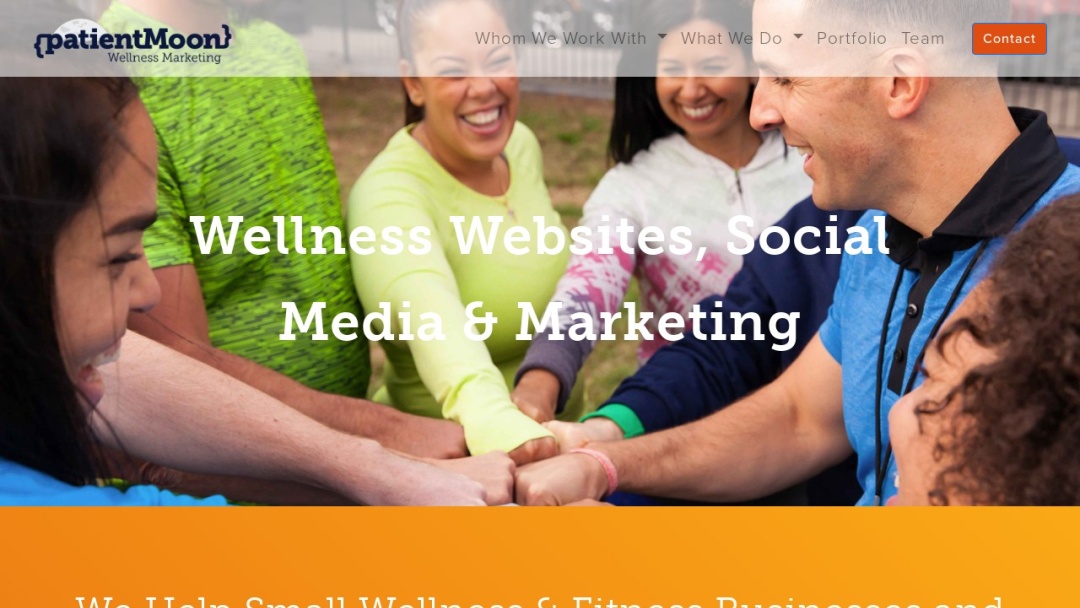 Screenshot of patientMoon's Website