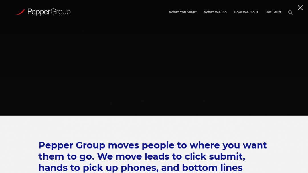Screenshot of Pepper Group's Website