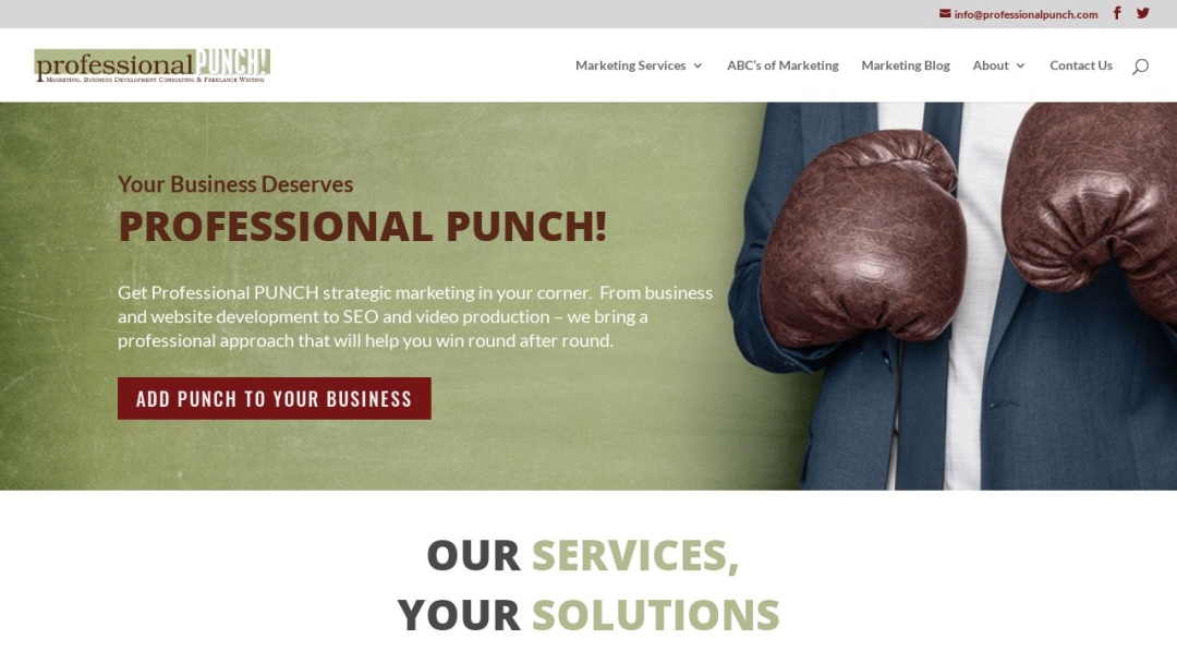 Screenshot of Professional PUNCH's Website