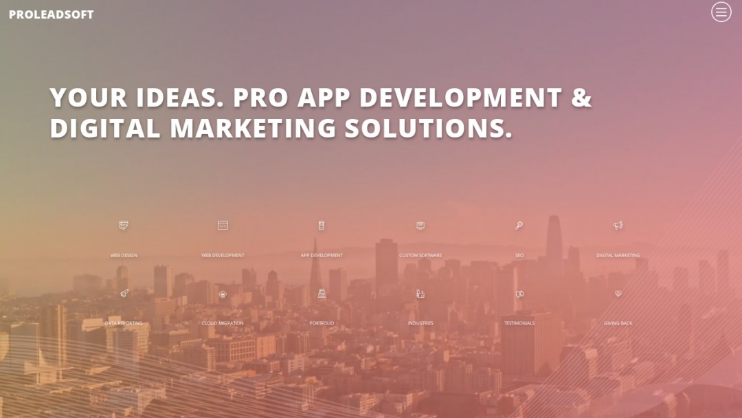 Screenshot of Proleadsoft's Website