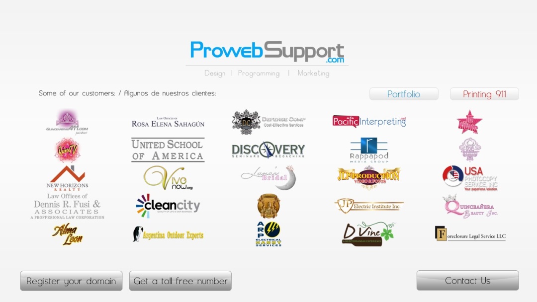 Screenshot of Prowebsupport's Website