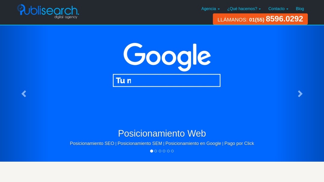 Screenshot of Publisearch's Website
