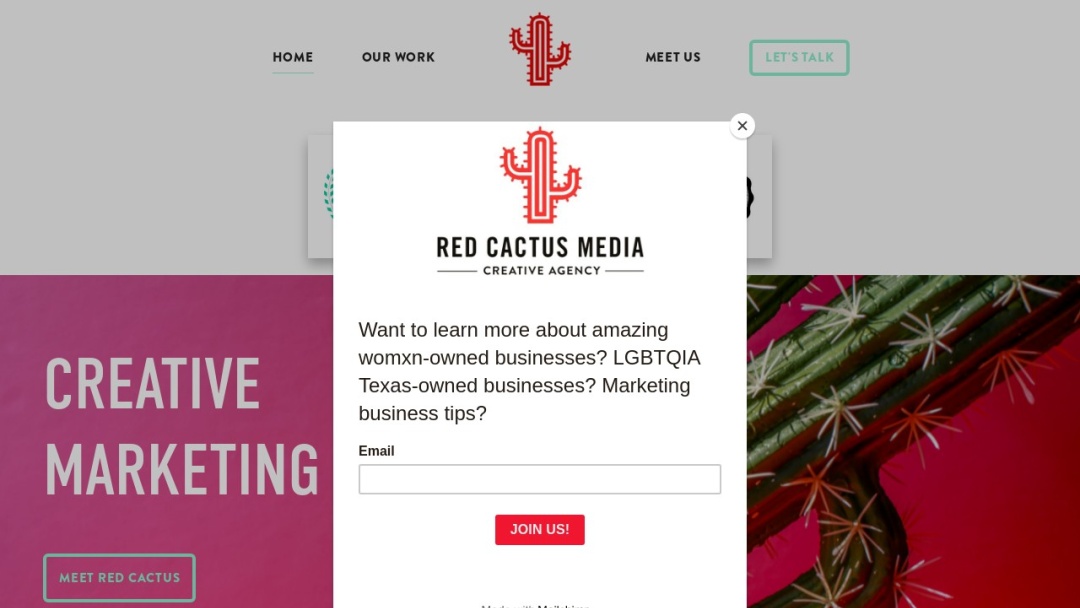 Screenshot of Red Cactus Media's Website