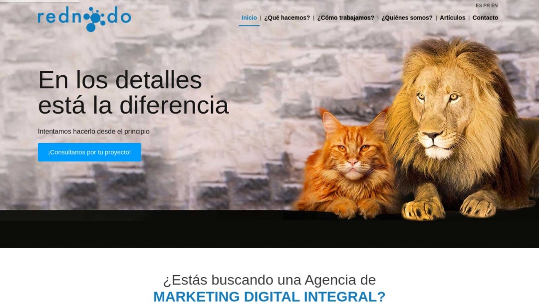 Screenshot of Rednodo's Website