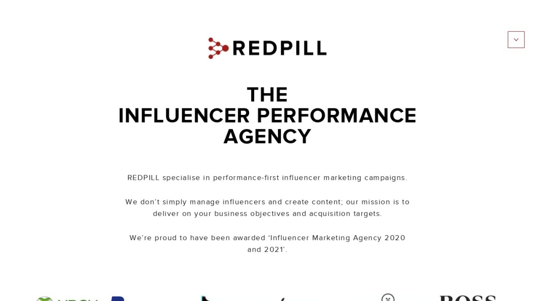 Screenshot of REDPILL London's Website