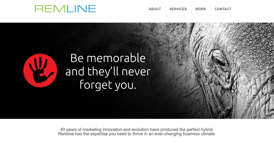 Screenshot of Remline Corp.'s Website