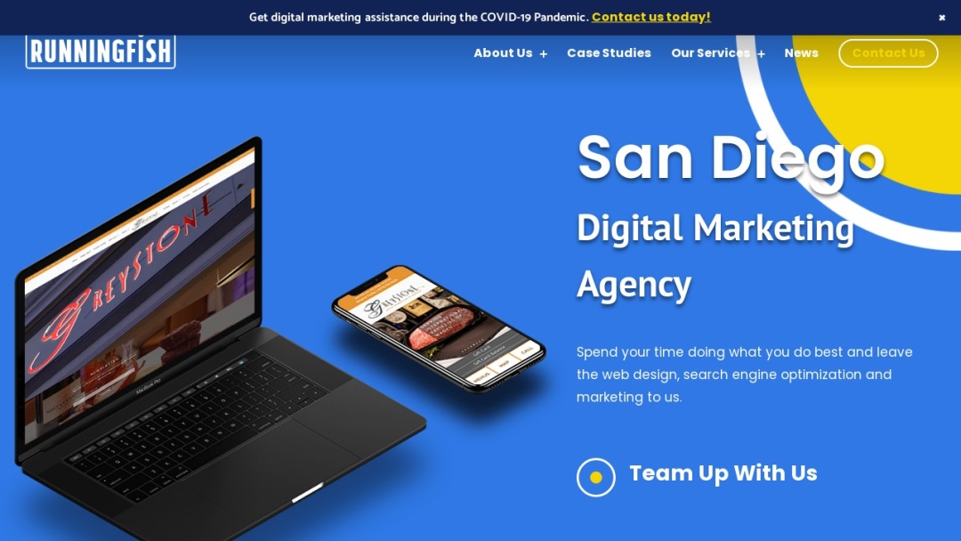 Screenshot of Runningfish Web Design & Digital Marketing's Website