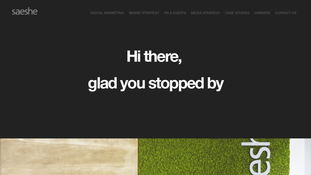 Screenshot of Saeshe's Website