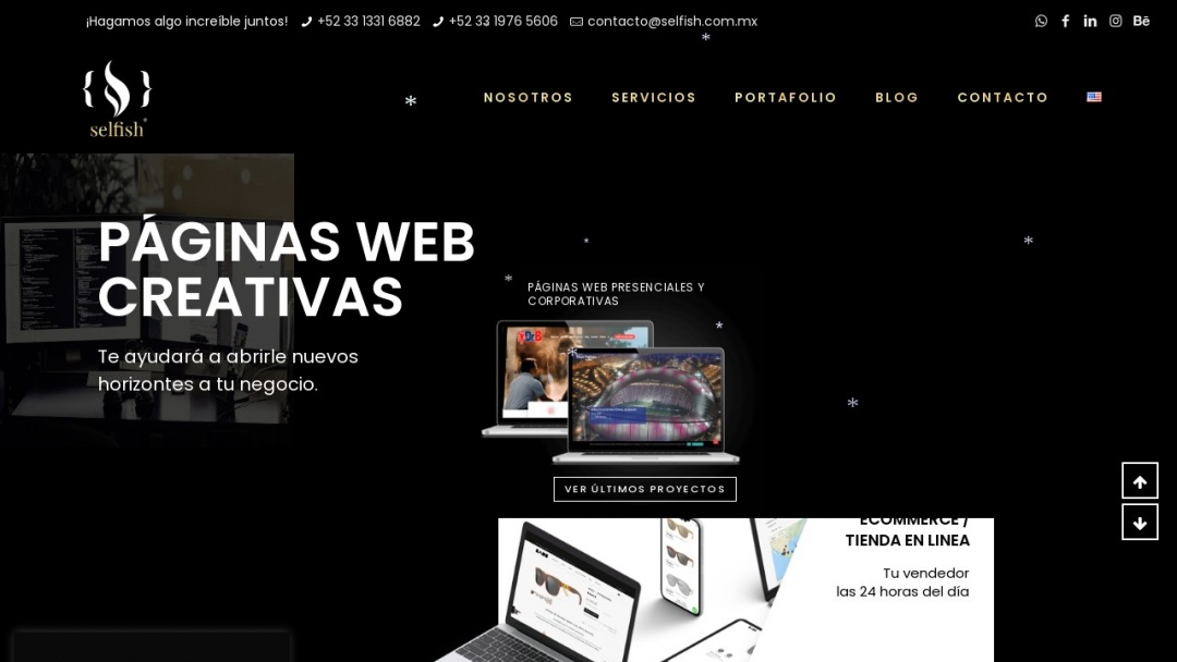 Screenshot of Selfish's Website