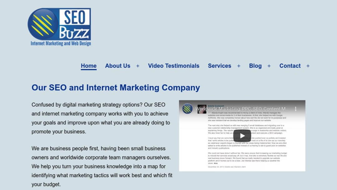 Screenshot of SEO Buzz Internet Marketing's Website