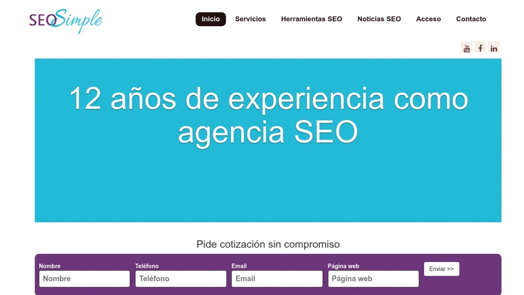 Screenshot of SEO Simple's Website