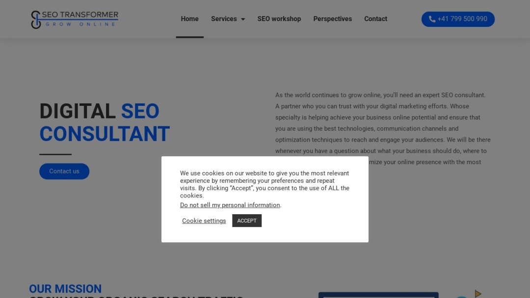 Screenshot of SEO Transformer's Website
