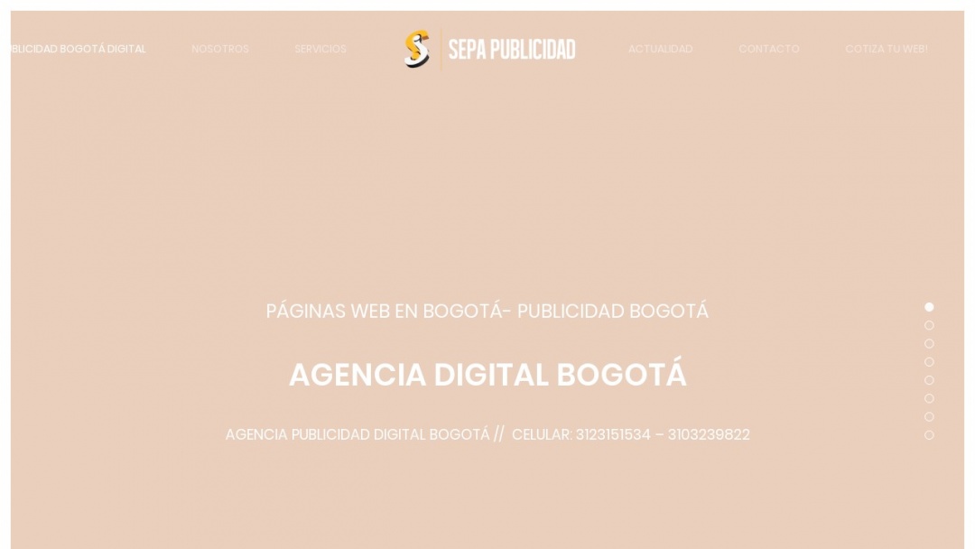 Screenshot of Sepa Publicidad's Website