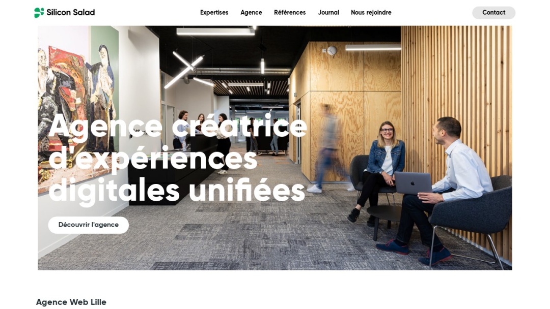 Screenshot of Silicon Salad's Website