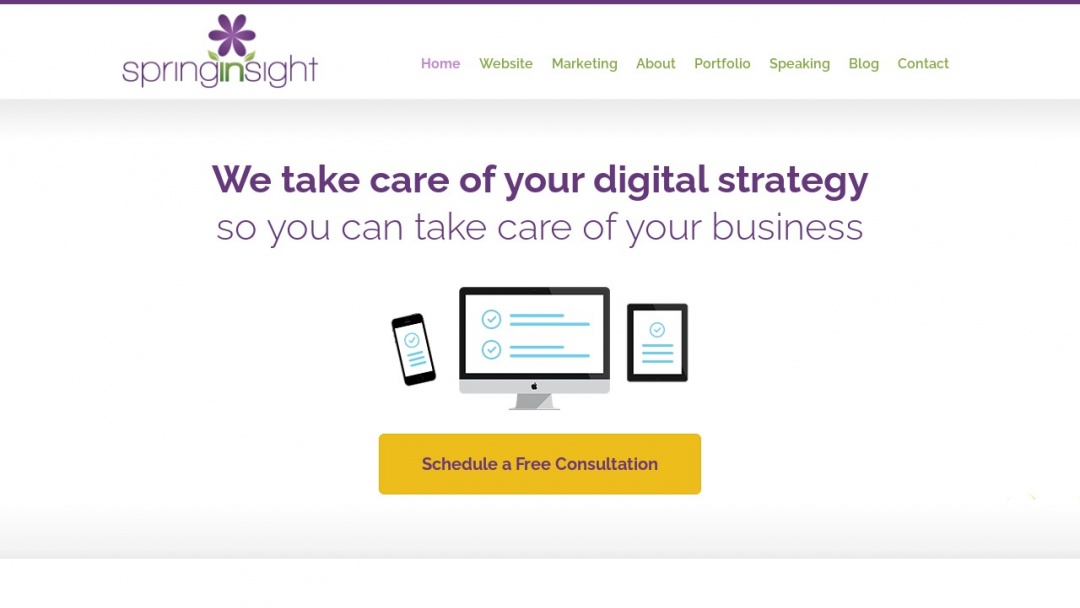 Screenshot of Spring Insight Marketing, LLC's Website