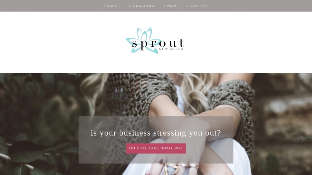 Screenshot of Sprout New Media's Website