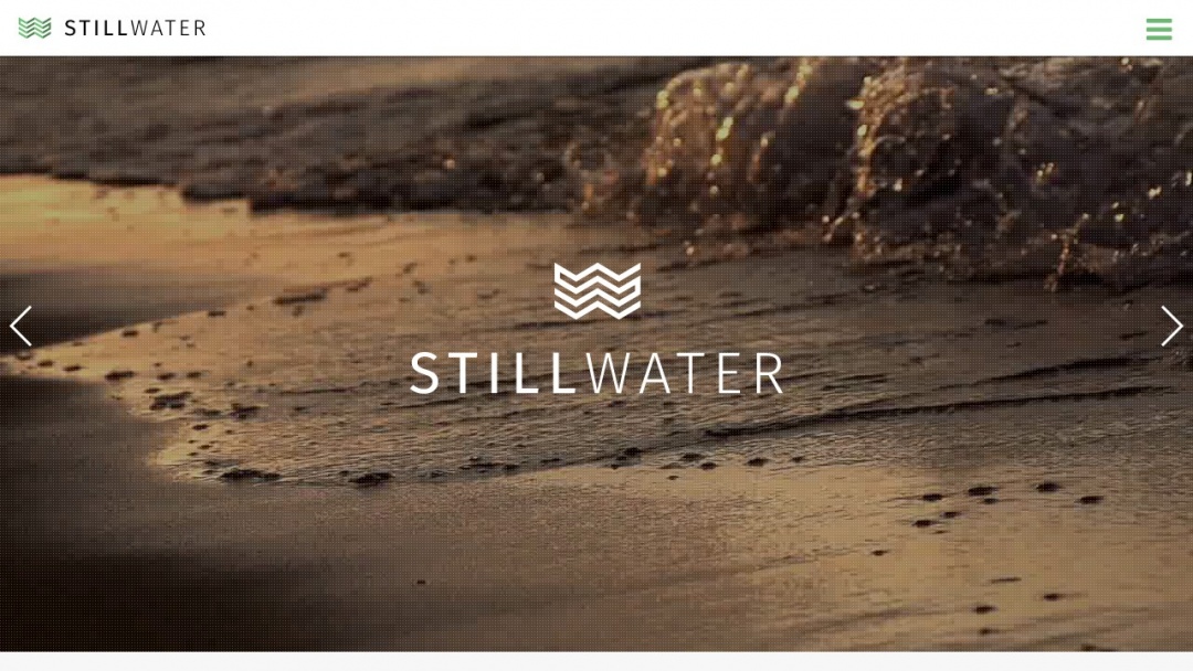 Screenshot of Still Water Interactive's Website