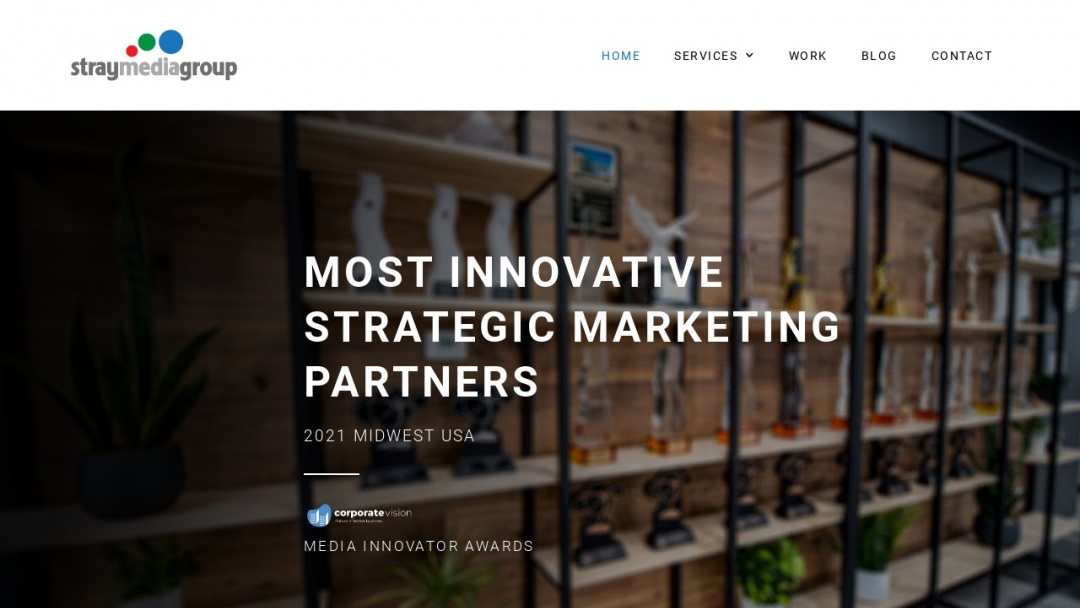 Screenshot of Stray Media Group's Website
