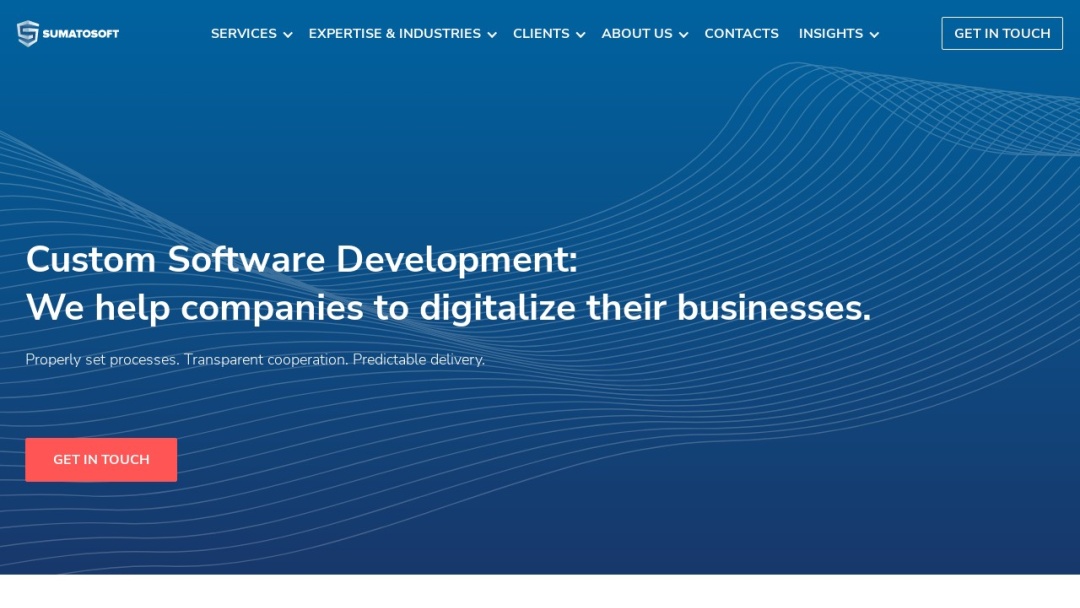 Screenshot of SumatoSoft's Website
