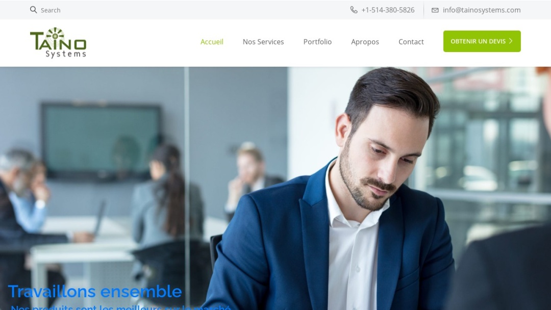 Screenshot of TainoSystems Inc.'s Website