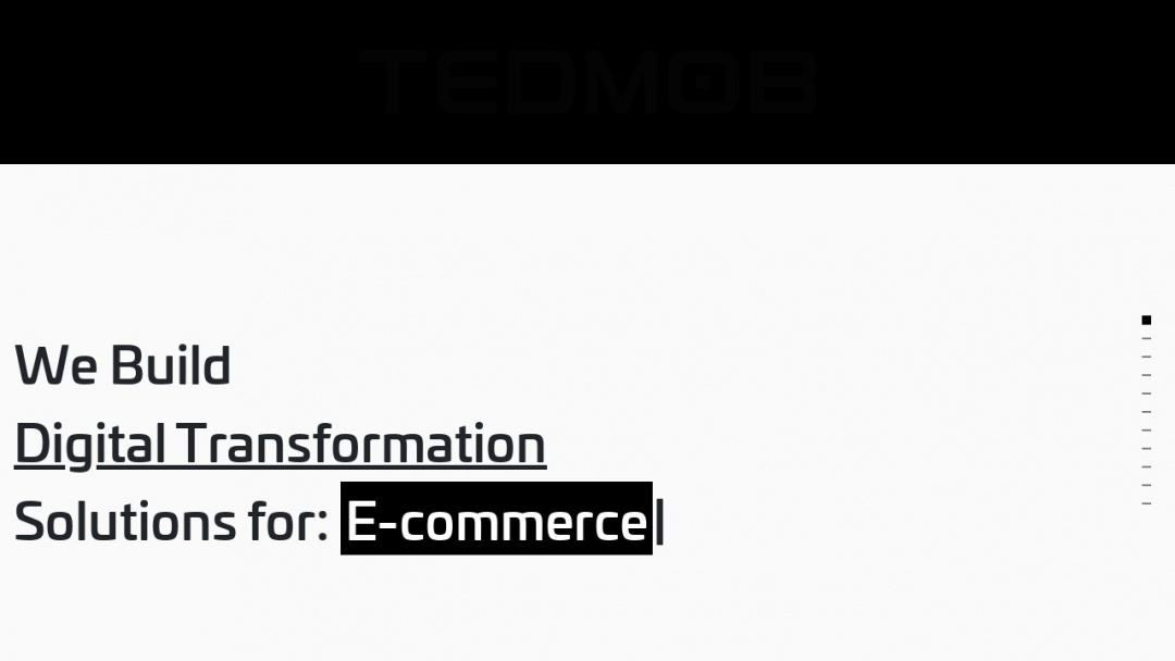 Screenshot of TEDMOB's Website