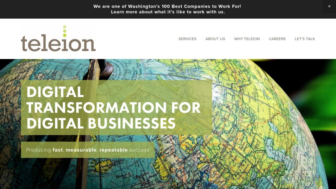 Screenshot of Teleion Consulting's Website