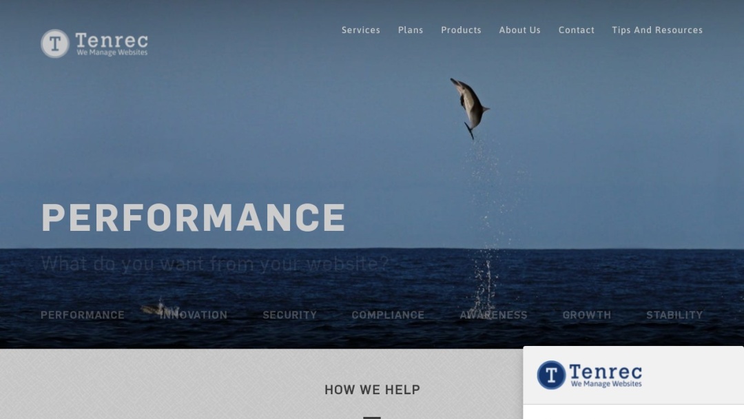 Screenshot of Tenrec's Website