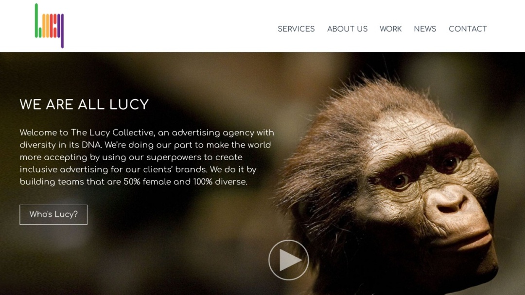 Screenshot of The Lucy Collective, LLC's Website