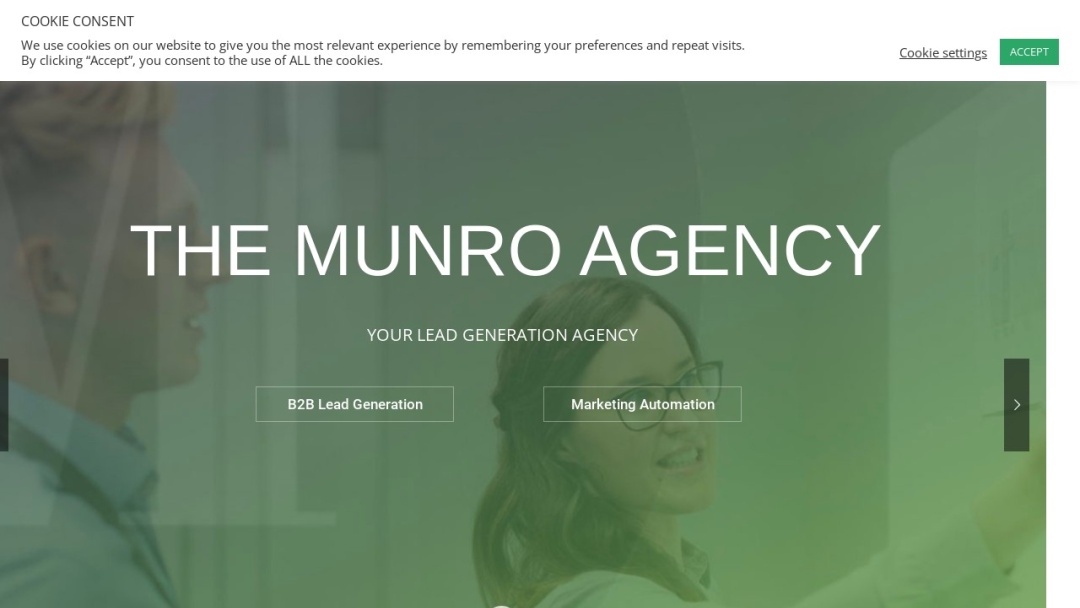 Screenshot of The Munro Agency's Website