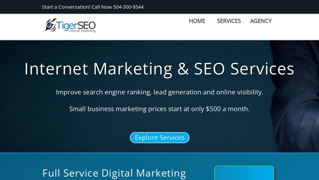Screenshot of Tiger SEO Marketing's Website