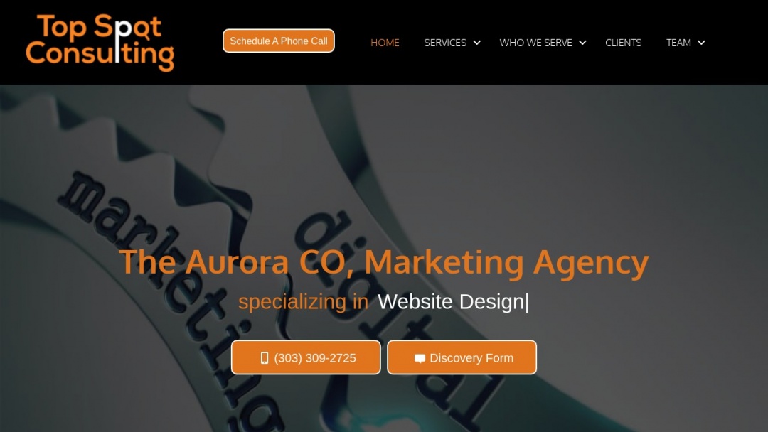 Screenshot of Top Spot Consulting's Website