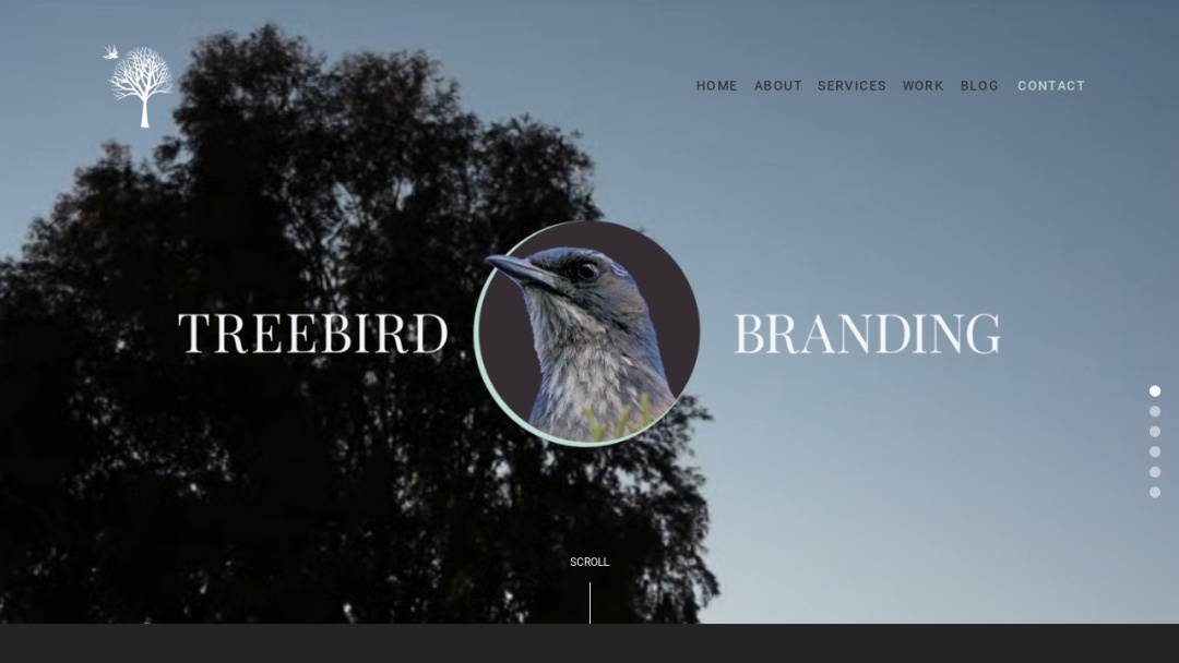 Screenshot of Treebird Branding's Website