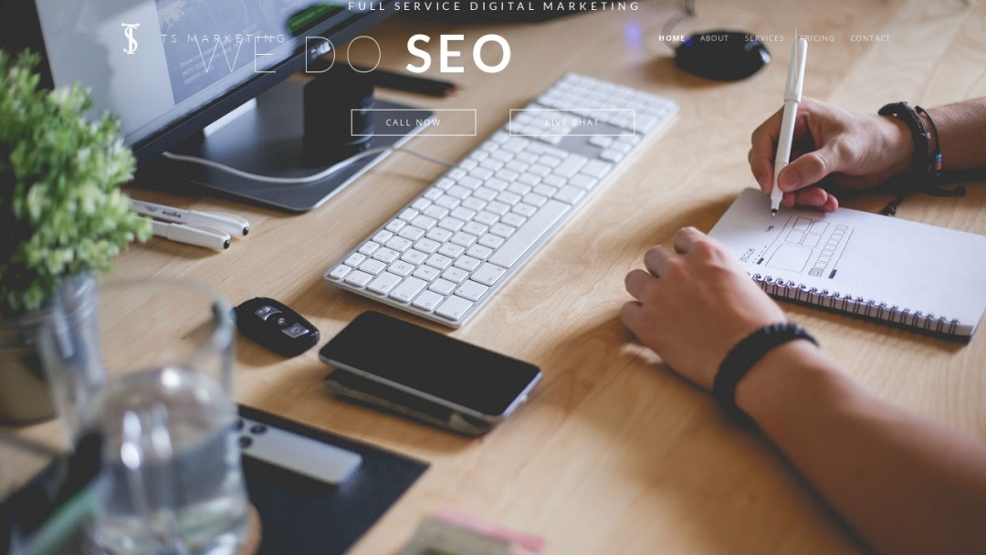 Screenshot of TS Incorporated Digital Marketing's Website