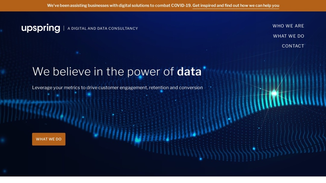 Screenshot of Upspring's Website