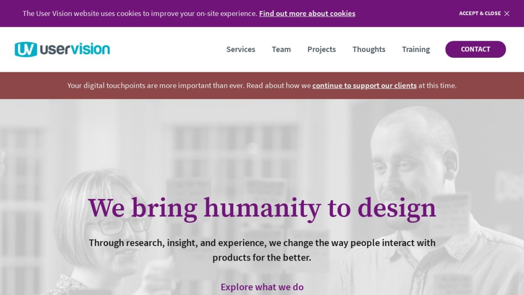Screenshot of User Vision's Website