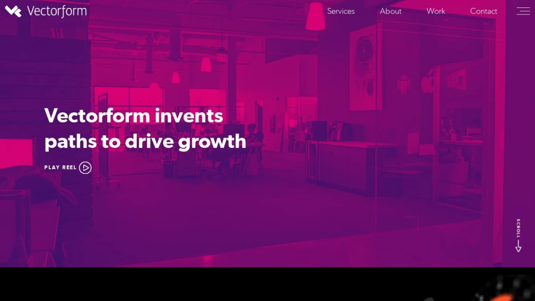 Screenshot of Vectorform's Website