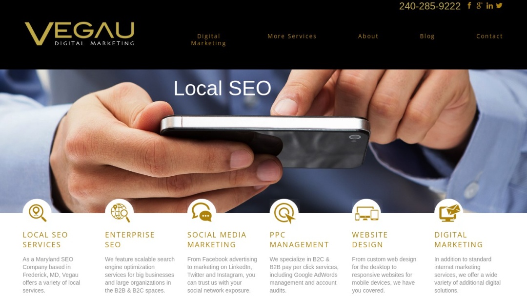 Screenshot of Vegau Digital Marketing's Website